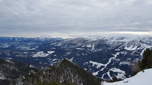 alps  tourism  forest