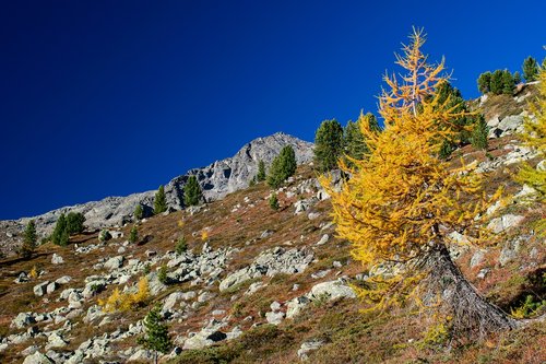 alps  autumn  landscape