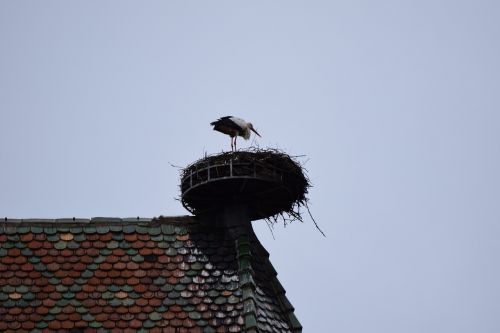 alsace nature nest