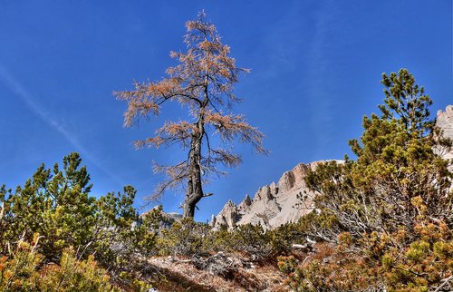 alta badia  south tyrol  dolomites