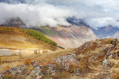 altai  mountains  landscape