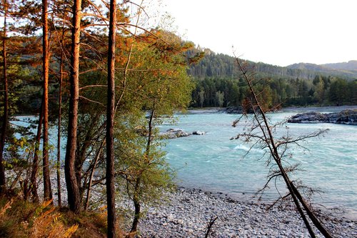 altai  mountains  river