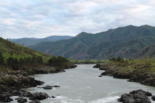 altai  mountains  river