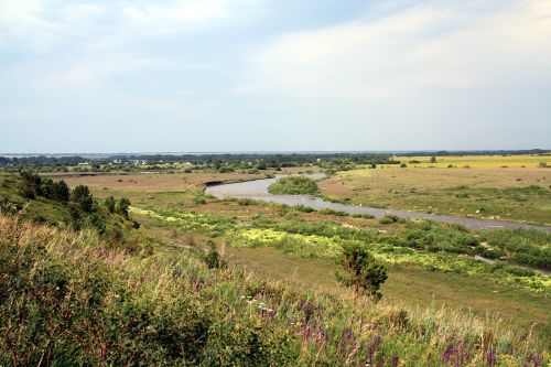 altai krai river summer