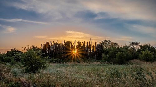 amager  blue  nature