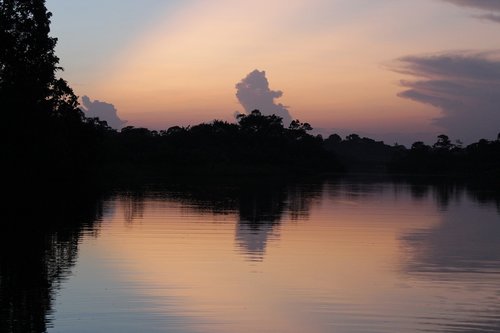 amazon  ecuador  landscape