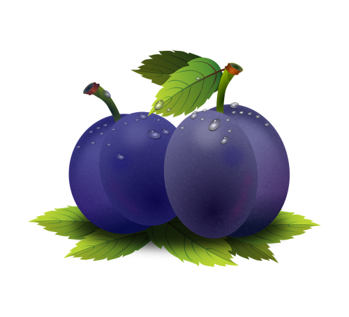 amêixoa plum fruit