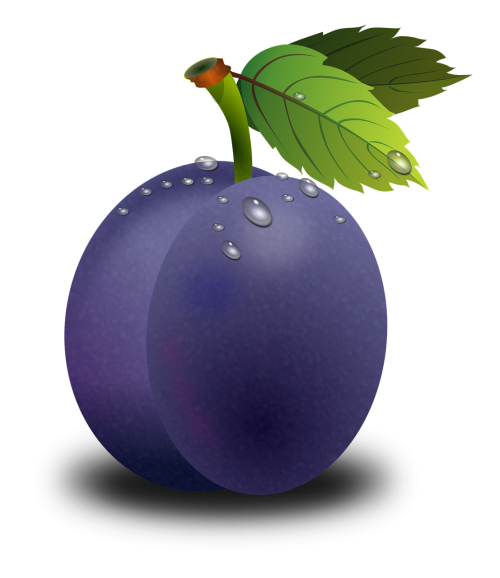 amêixoa plum fruit