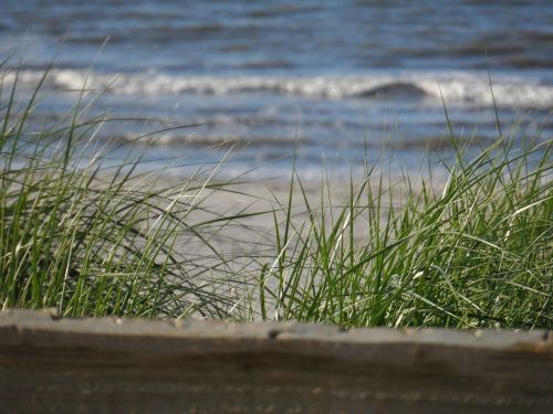 ameland beach north sea