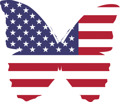 america butterfly flag
