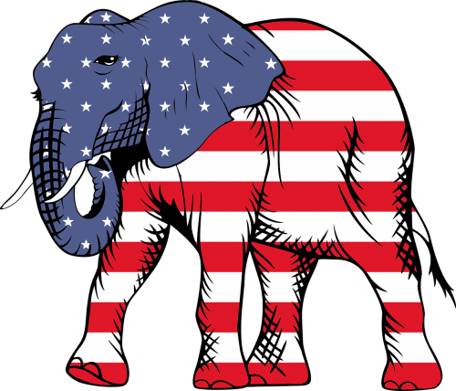 america animal elephant
