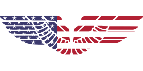 america usa wings