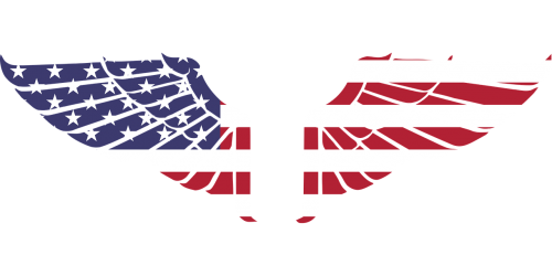 america wings flag