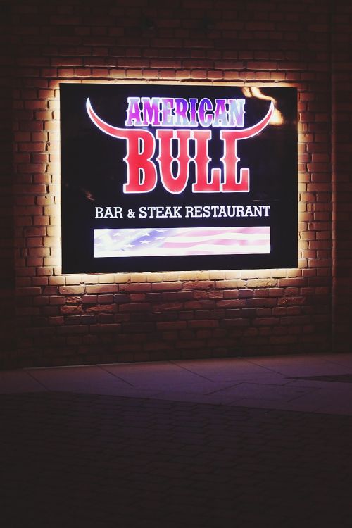american bull bar