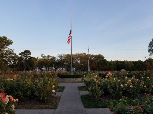 american flag rose garden