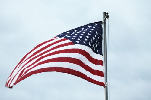american flag patriotism wave