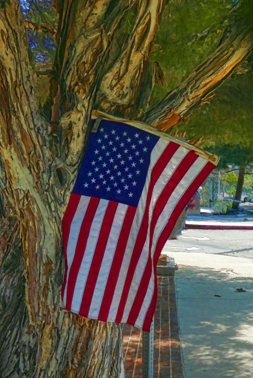 American Flag Hanging From Tree