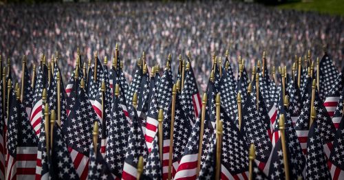 american flags memorial day memorial