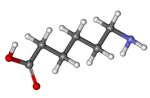 aminocaproic acid ball