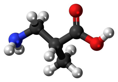 aminoisobutyric acid molecule chemistry