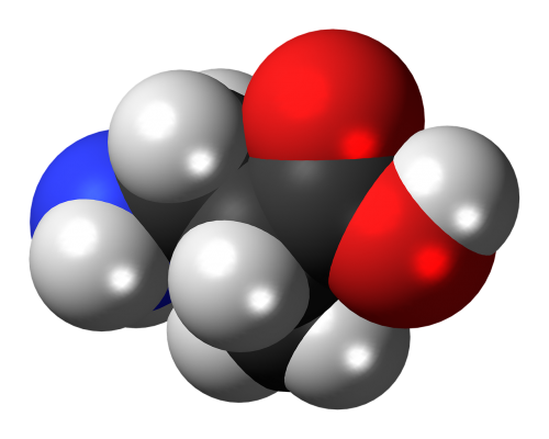 aminoisobutyric acid molecule chemistry
