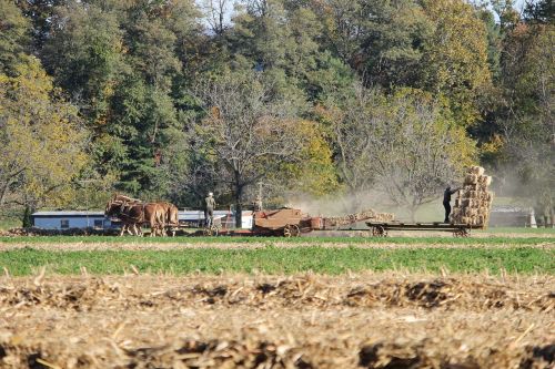 amish pennsylvania farm