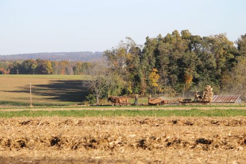 amish pennsylvania farm