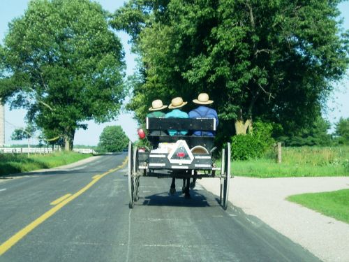 amish carriage farm