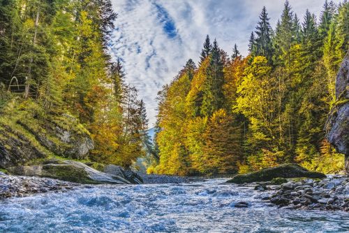 ammer alpine autumn