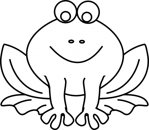 amphibian frog animal