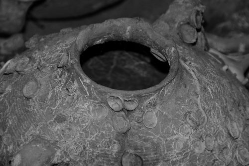 amphora old historically