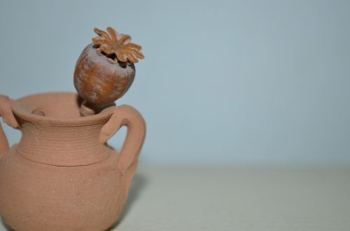 amphora poppy still life