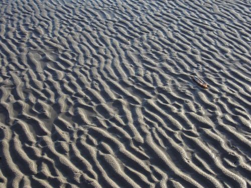 amrum kniepsand ebb