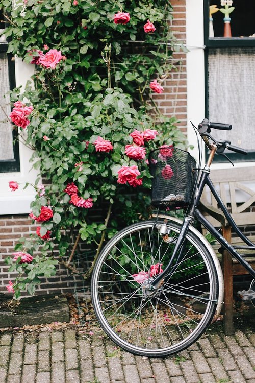 amsterdam  bike  holland