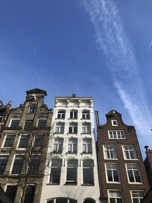 amsterdam  houses  netherlands