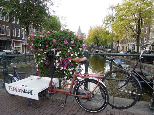 amsterdam netherlands bicycle
