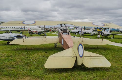 anatra-anasal vintage plane