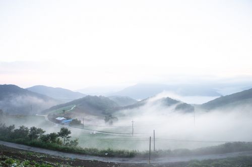 anban degi gangneung fog