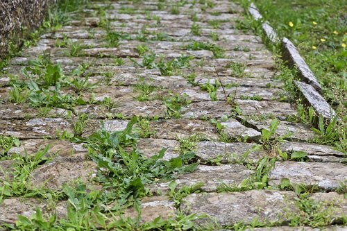 ancient  pavement  old palace