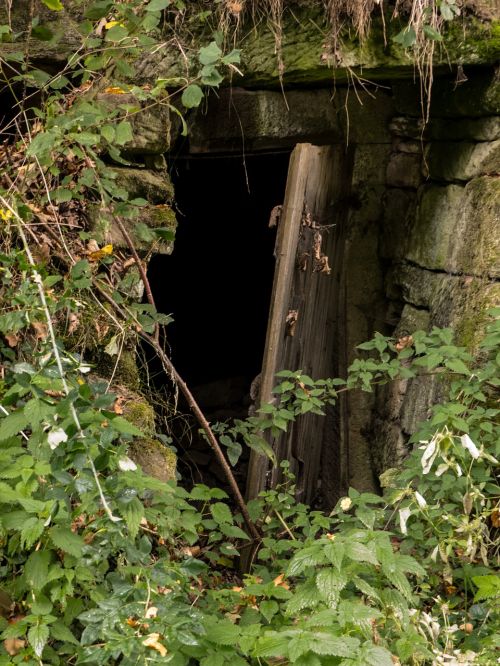 ancient doorway overgrown ruin