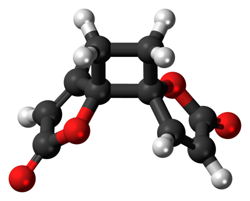 anemonin molecule model