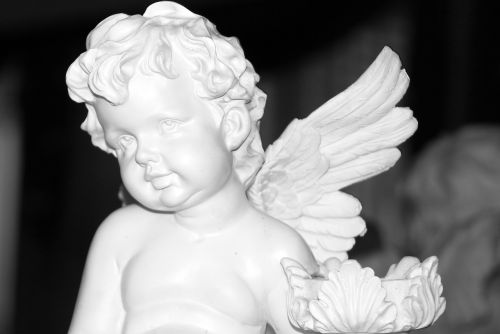 angel angel face wing