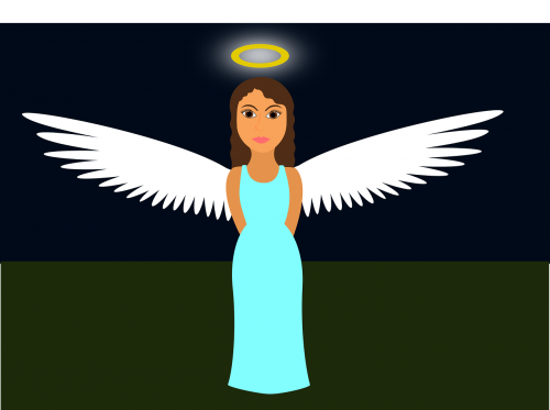 angel girl wings