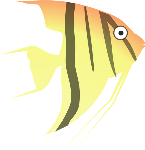 angel cartoon fish