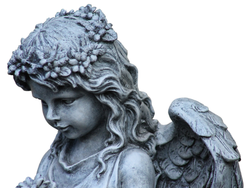 angel wing guardian angel