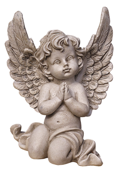 angel wing pray