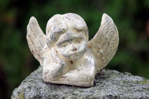 angel angel figure contemplative