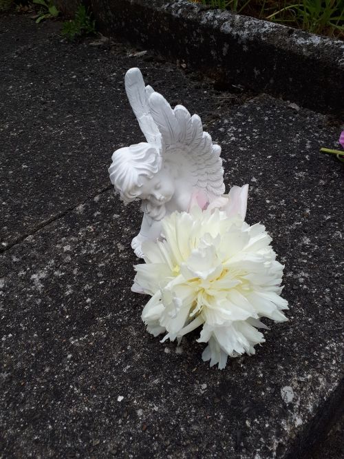 angel white flower