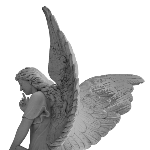 angel wing little angel