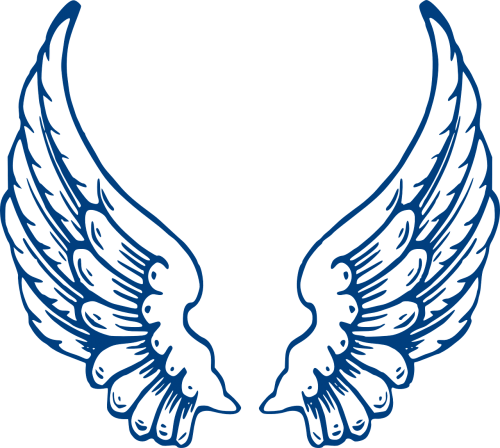angel wings blue